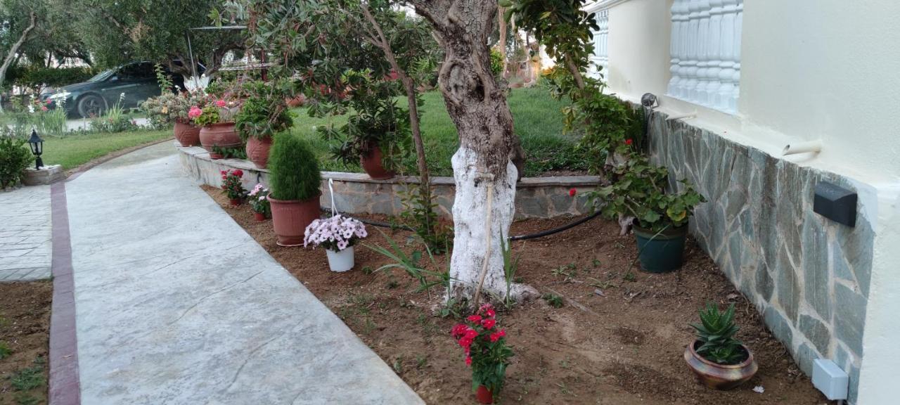 Zante Summer Retreats - Marietta'S Apartment2 Drosia Kypseli Exterior photo